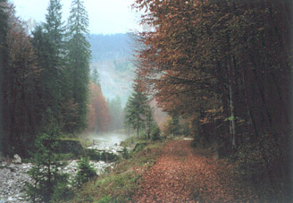 Fern Wandern Österreich