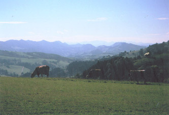 Fernwanderung in Österreich