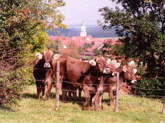 Reisebericht Deutschland