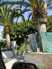 Mallorca Reiseberichte