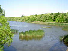 Reisebericht Kis Balaton